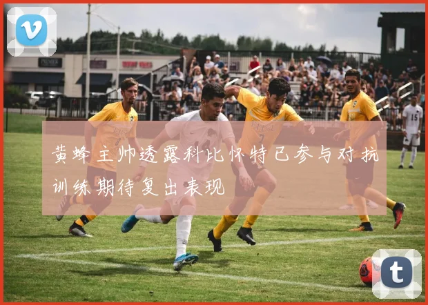黄蜂主帅透露科比怀特已参与对抗训练期待复出表现