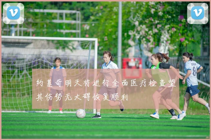 约基奇明天将进行全面医疗检查望其伤势无大碍恢复顺利
