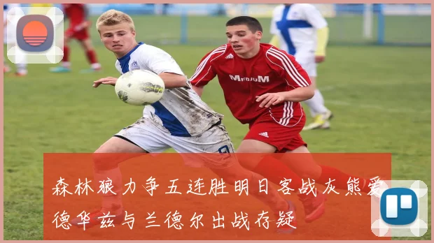 森林狼力争五连胜明日客战灰熊爱德华兹与兰德尔出战存疑