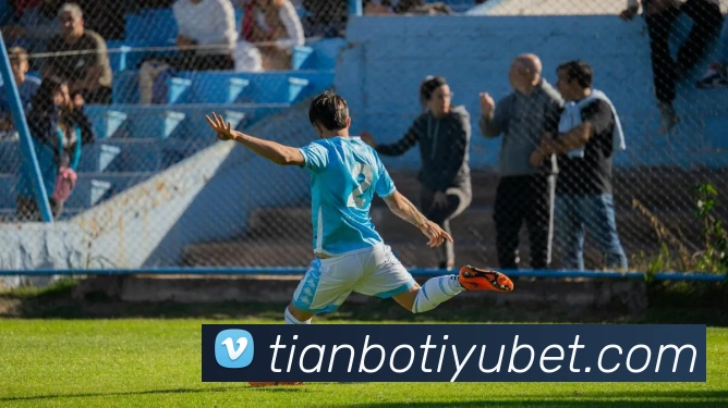 天博体育平台生态图